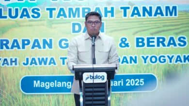 Wamentan tegaskan penyuluh pertanian ujung tombak swasembada pangan