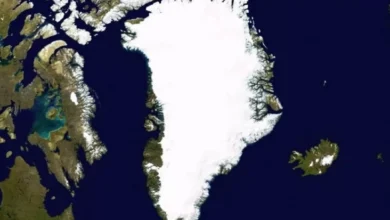 Alasan Donald Trump Ingin Beli Greenland, Salah Satunya Kaya Minyak kemudian Mineral Tanah Langka