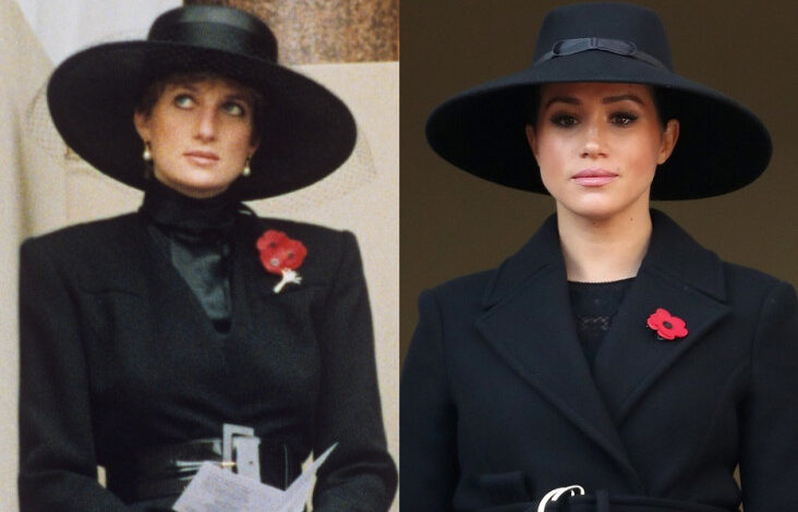 Meghan Markle Terinsipirasi Pekerjaan Kerajaan Putri Diana, tapi Banyak yang mana mana Tidak Dikerjakan