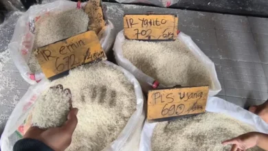 Mentan Sebut Krisis Pangan Menimpa Jepang, Malaysia, hingga Filipina! Bagaimana Indonesia?