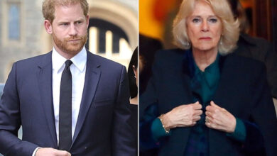 Pangeran Harry Kembali ke Inggris, Ratu Camilla Putuskan Keluar dari Istana