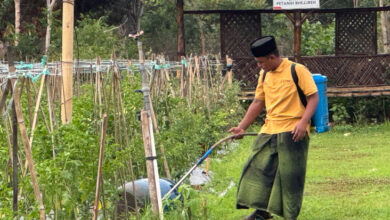 Berkat Inovasi Proyek Eco-edufarming, PHE WMO Kembali Raih PROPER Emas 2024