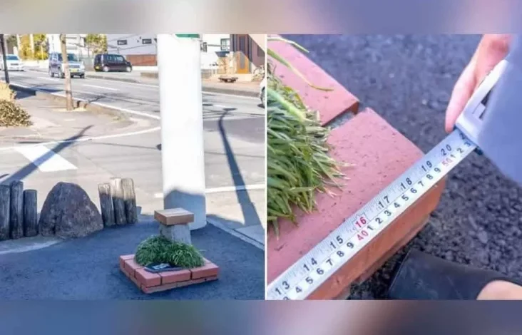 Jepun Ciptakan Taman Terkecil dalam pada Dunia, Segini Ukurannya