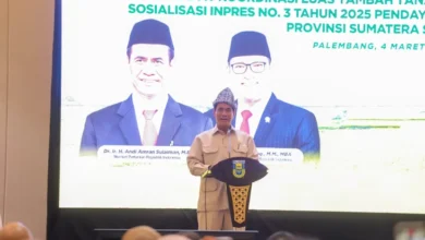Mentan Amran Targetkan Sumsel Masuk Tiga Besar Produsen Beras Nasional