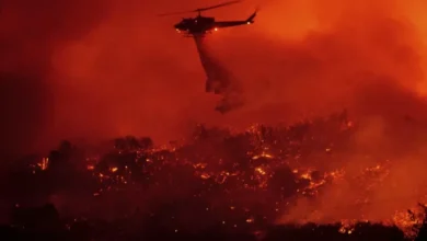 Organisasi Listrik SCE Dituduh Jadi Pemicu Kebakaran Menarik pada tempat Los Angeles