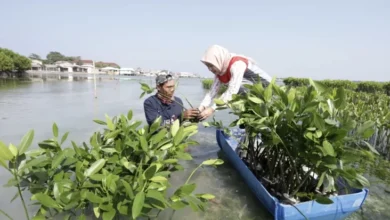 PHE OSES Lestarikan Alam kemudian Berdayakan Publik Pesisir