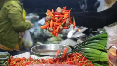 Update Harga Pangan Mingguan 9 Maret 2025, Bawang, Cabai dan juga Beras Masih Naik