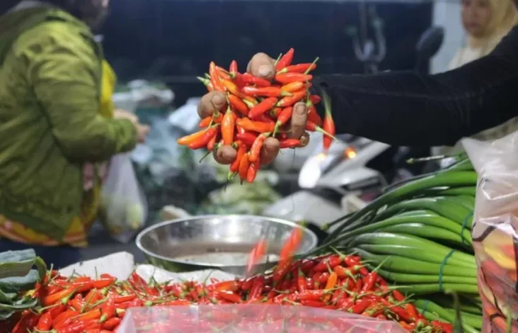 Update Harga Pangan Mingguan 9 Maret 2025, Bawang, Cabai dan juga Beras Masih Naik