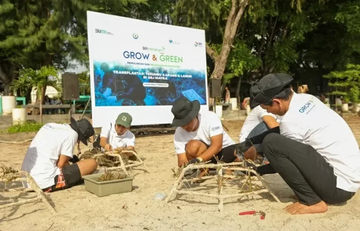 BRI Menanam Grow & Green Transplantasi Terumbu Karang, Selamatkan Ekosistem Laut dalam tempat NTB