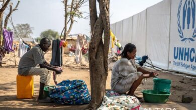 Komisi HAM: Korban tewas serangan pada di Al-Nahud Sudan bertambah jadi 300